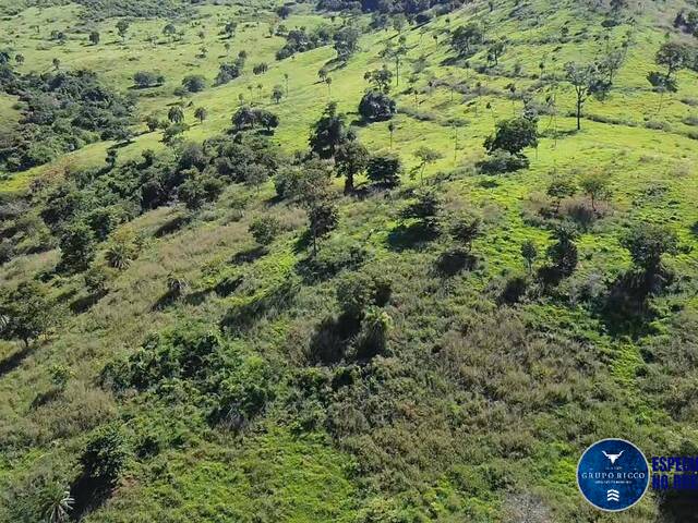 #3649 - Fazenda para Venda em Rialma - GO