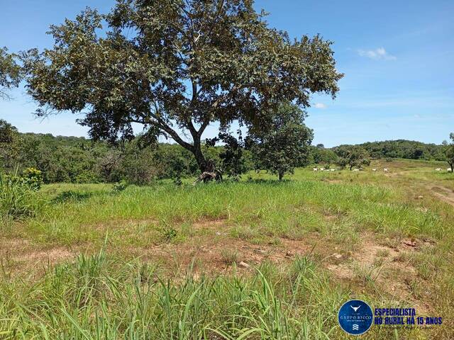 #3650 - Fazenda para Venda em Jussara - GO
