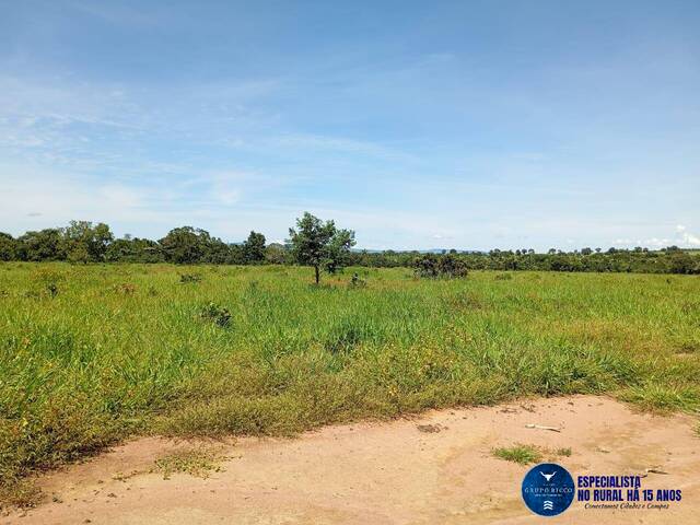 Fazenda para Venda em Jussara - 4
