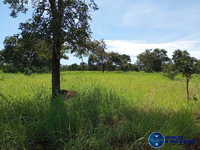 Fazenda para Venda em Jussara - 5