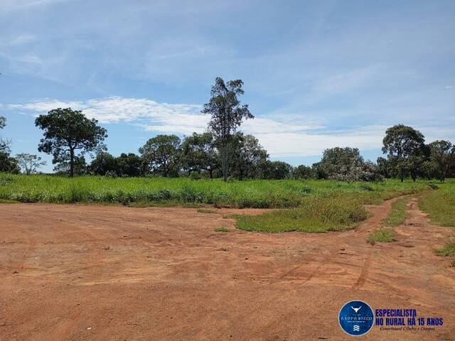 #3650 - Fazenda para Venda em Jussara - GO