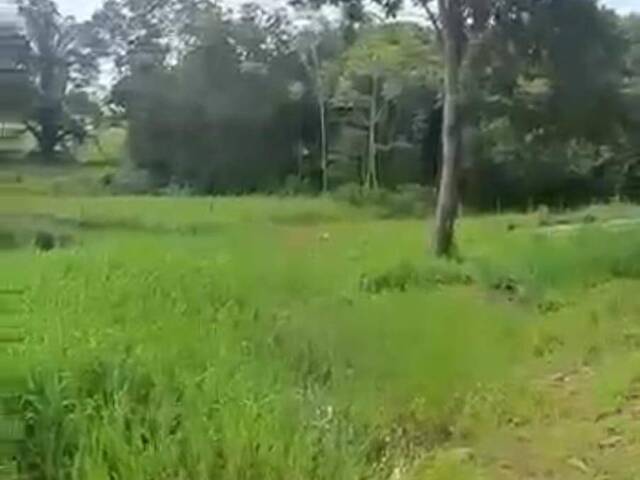 Chácara para Venda em Matrinchã - 5