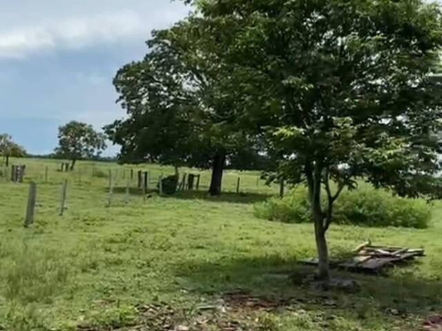 #3658 - Fazenda para Venda em Araguaiana - MT