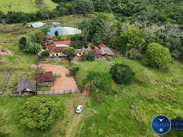#3663 - Fazenda para Venda em Anápolis - GO