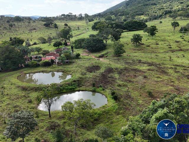 #3663 - Fazenda para Venda em Anápolis - GO