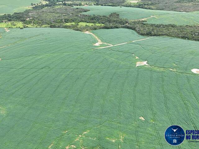 #3582 - Fazenda para Venda em Abadiânia - GO