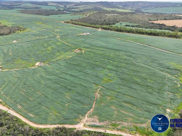 Fazenda para Venda em Abadiânia - 5