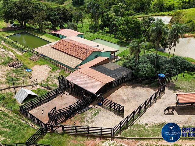 Venda em zona rural - Abadiânia