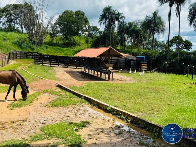 Chácara para Venda em Abadiânia - 5
