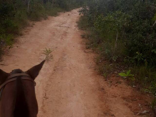 #3665 - Fazenda para Venda em Guiratinga - MT