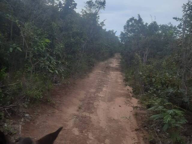 #3665 - Fazenda para Venda em Guiratinga - MT