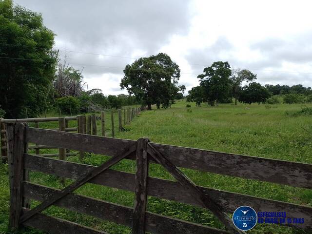 #3666 - Fazenda para Venda em Aragarças - GO