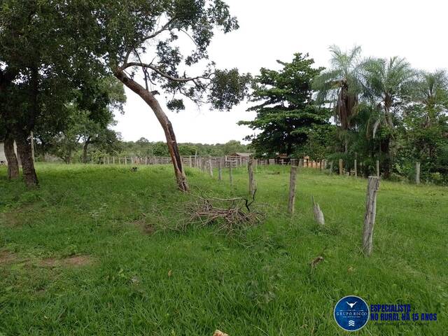 Fazenda para Venda em Aragarças - 5