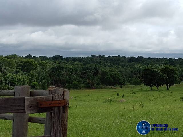 #3666 - Fazenda para Venda em Aragarças - GO