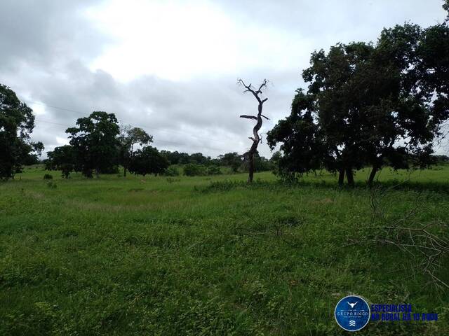 Venda em zona rural - Aragarças