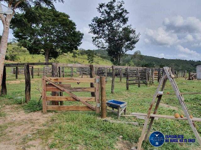 #3667 - Fazenda para Venda em Cocalzinho de Goiás - GO