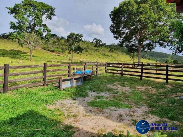 Fazenda para Venda em Cocalzinho de Goiás - 5