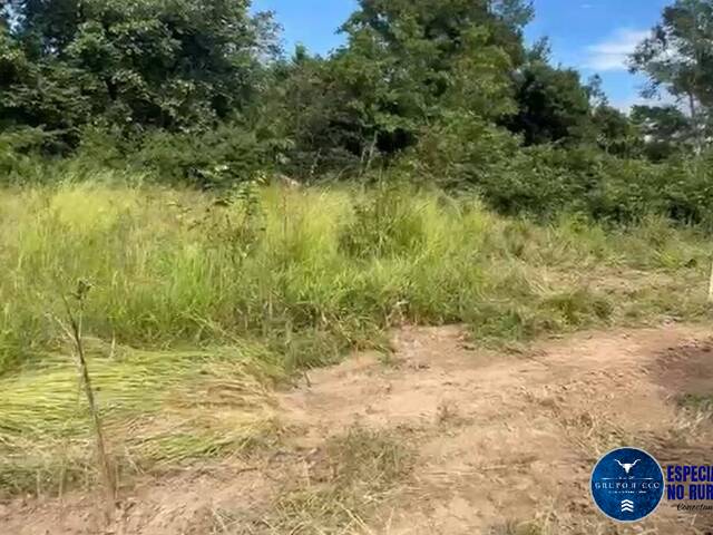 #3669 - Terreno para Venda em Montes Claros de Goiás - GO