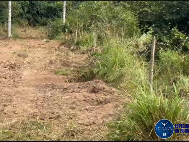 Terreno para Venda em Montes Claros de Goiás - 5