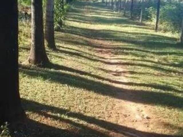 #3670 - Chácara para Venda em São Francisco de Goiás - GO