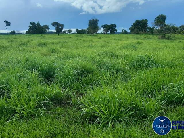 #3672 - Fazenda para Venda em Mozarlândia - GO