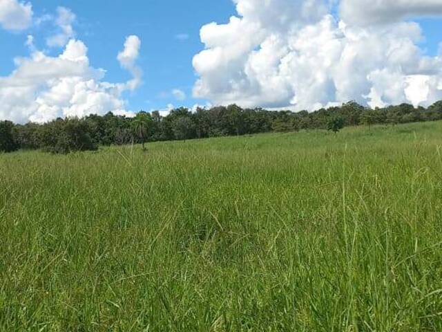 #3672 - Fazenda para Venda em Mozarlândia - GO