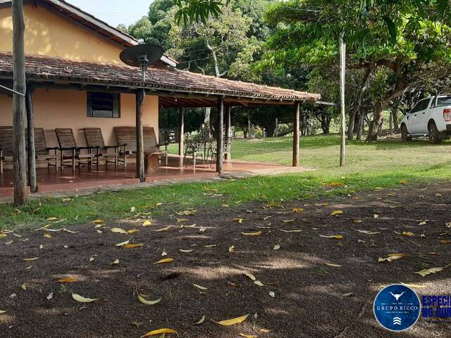#3672 - Fazenda para Venda em Mozarlândia - GO