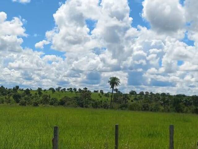 Venda em zona rural - Mozarlândia