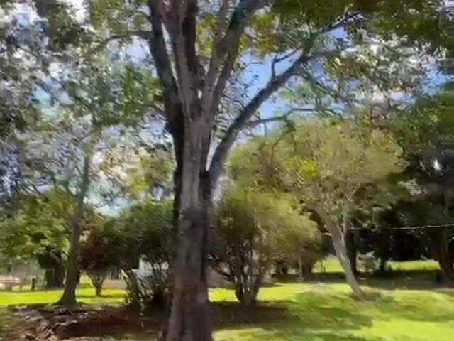 #3674 - Fazenda para Venda em Caturaí - GO