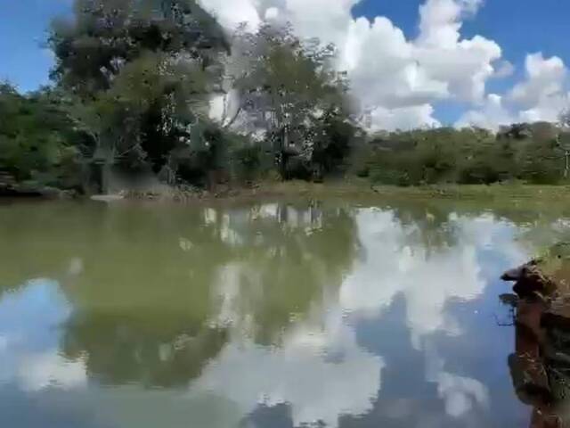 #3674 - Fazenda para Venda em Caturaí - GO