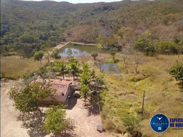 #3681 - Fazenda para Venda em São Miguel do Passa Quatro - GO