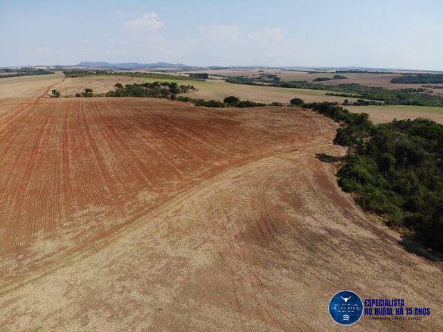 #3683 - Fazenda para Venda em Caiapônia - GO