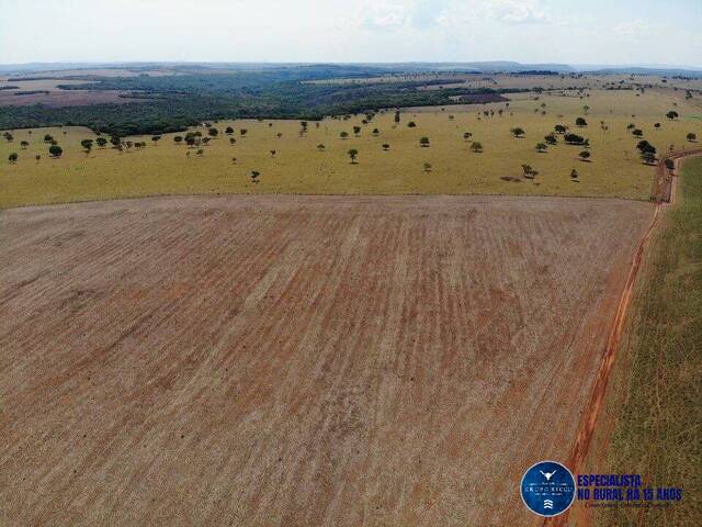#3683 - Fazenda para Venda em Caiapônia - GO