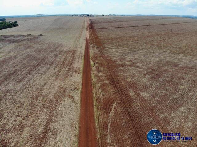 Fazenda para Venda em Caiapônia - 5