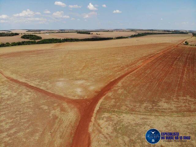 Fazenda para Venda em Caiapônia - 4