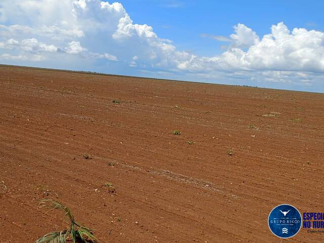 #3684 - Fazenda para Venda em Caxias - MA