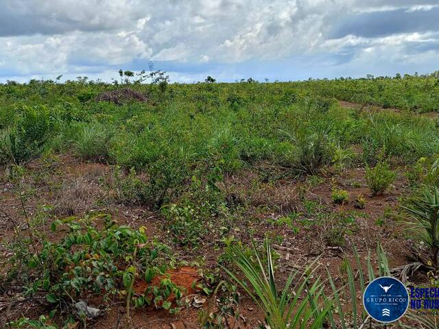 #3684 - Fazenda para Venda em Caxias - MA