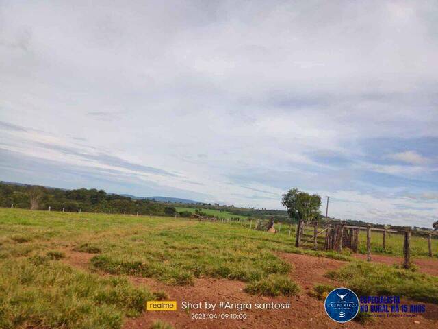 #3690 - Fazenda para Venda em Doverlândia - GO