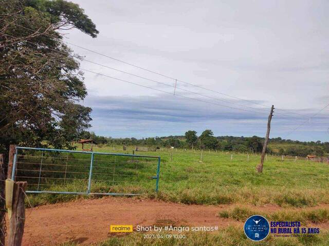 #3690 - Fazenda para Venda em Doverlândia - GO