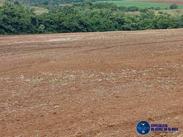 #3691 - Fazenda para Venda em Caiapônia - GO