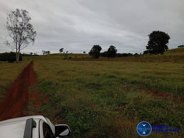 #3691 - Fazenda para Venda em Caiapônia - GO