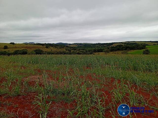 #3691 - Fazenda para Venda em Caiapônia - GO