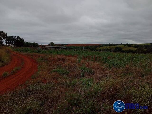 Fazenda para Venda em Caiapônia - 5