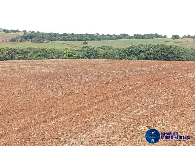 #3691 - Fazenda para Venda em Caiapônia - GO