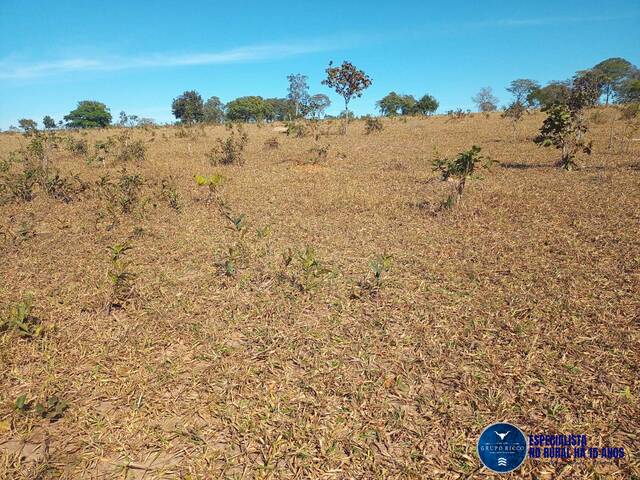 #3693 - Fazenda para Venda em Caiapônia - GO