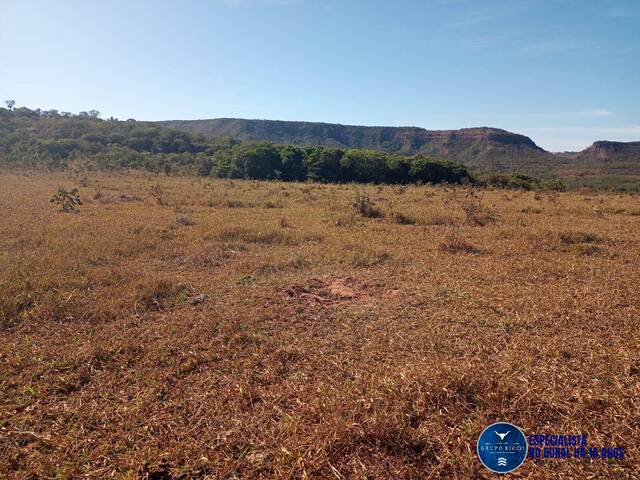 Fazenda para Venda em Caiapônia - 4