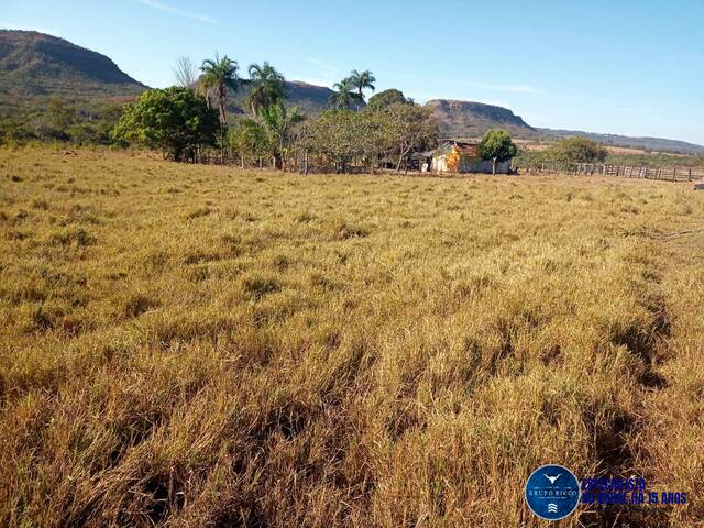 #3693 - Fazenda para Venda em Caiapônia - GO