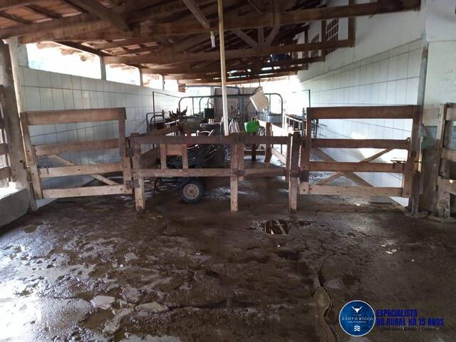 Chácara para Venda em Corumbaíba - 4
