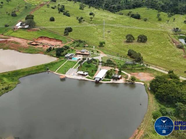 #3697 - Sítio para Venda em Nerópolis - GO