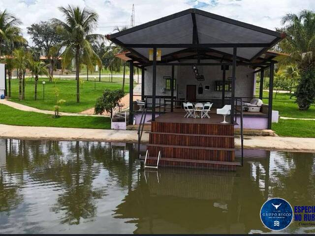 Sítio para Venda em Nerópolis - 4